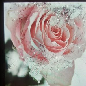 Meet your Posher, Chėri